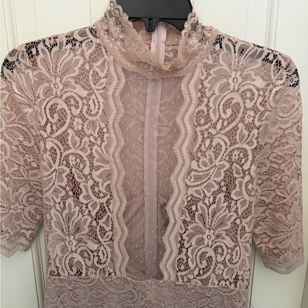 Express Dusty Pink Lace Dress